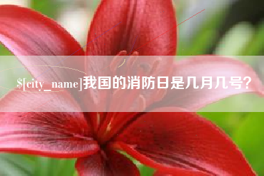 定州我国的消防日是几月几号？