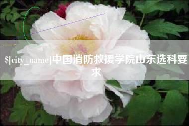 定州中国消防救援学院山东选科要求