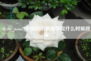 定州中国消防救援学院什么时候政审