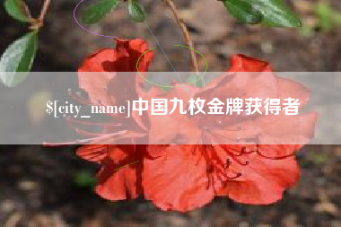 定州中国九枚金牌获得者