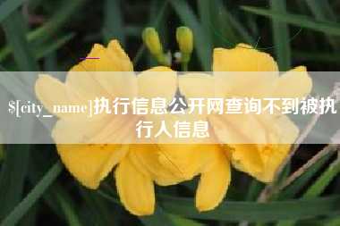 定州执行信息公开网查询不到被执行人信息