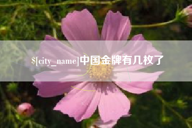 定州中国金牌有几枚了