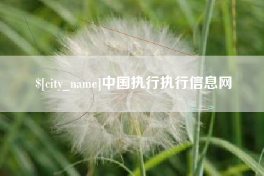 定州中国执行执行信息网
