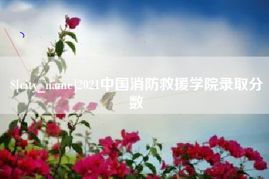 定州2021中国消防救援学院录取分数
