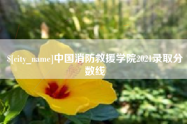 定州中国消防救援学院2021录取分数线