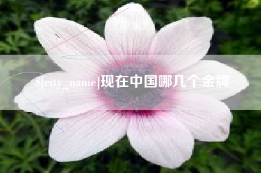 定州现在中国哪几个金牌