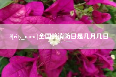 定州全国的消防日是几月几日