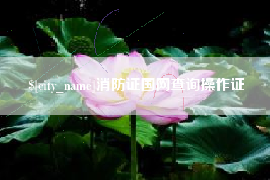 定州消防证国网查询操作证
