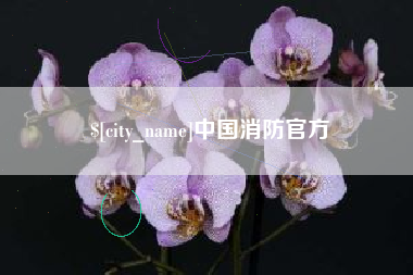 定州中国消防官方