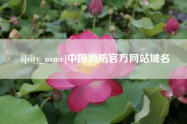 定州中国消防官方网站域名