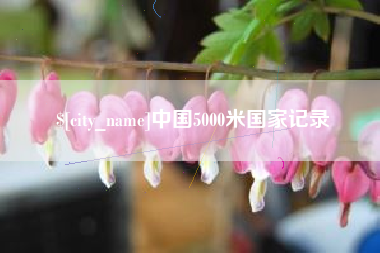 定州中国5000米国家记录
