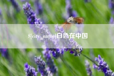 定州白色在中国