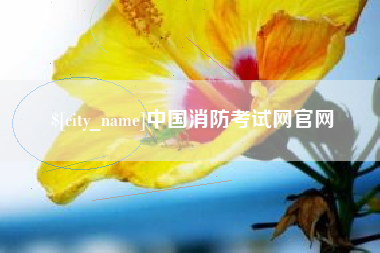 定州中国消防考试网官网