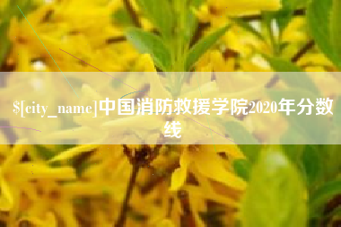 定州中国消防救援学院2020年分数线