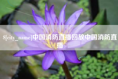 定州中国消防直播回放中国消防直播