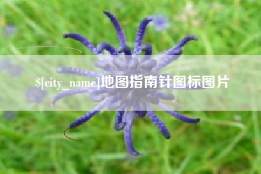 定州地图指南针图标图片