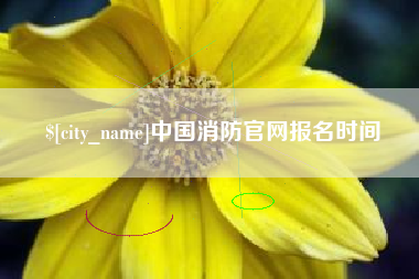 定州中国消防官网报名时间
