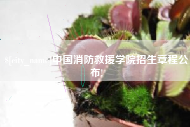 定州中国消防救援学院招生章程公布!