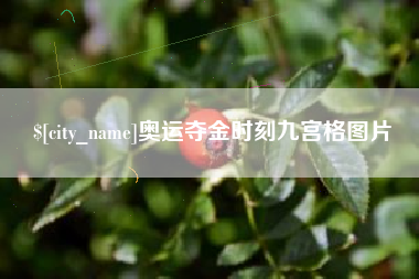 定州奥运夺金时刻九宫格图片
