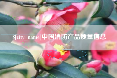 定州中国消防产品质量信息