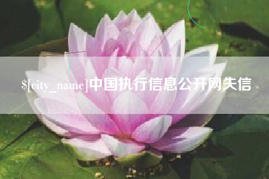 定州中国执行信息公开网失信