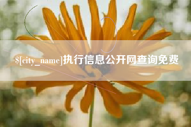 定州执行信息公开网查询免费