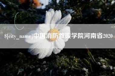 定州中国消防救援学院河南省2020